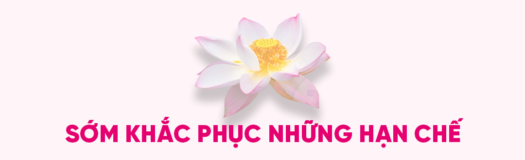 Xây dựng người Hà Nội thanh lịch văn minh - Động lực phát triển Thủ đô - ảnh 6